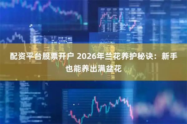 配资平台股票开户 2026年兰花养护秘诀：新手也能养出满盆花